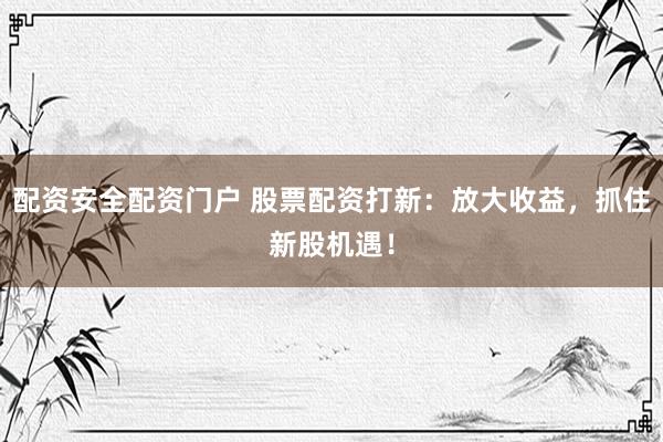 配资安全配资门户 股票配资打新：放大收益，抓住新股机遇！