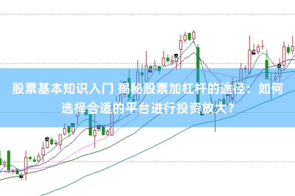 股票基本知识入门 揭秘股票加杠杆的途径：如何选择合适的平台进行投资放大？