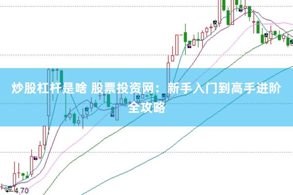 炒股杠杆是啥 股票投资网：新手入门到高手进阶全攻略