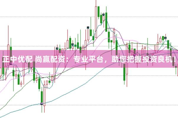 正中优配 尚赢配资：专业平台，助您把握投资良机！