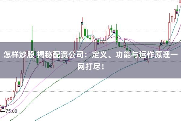 怎样炒股 揭秘配资公司：定义、功能与运作原理一网打尽！
