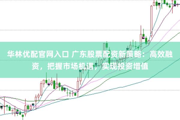 华林优配官网入口 广东股票配资新策略：高效融资，把握市场机遇，实现投资增值