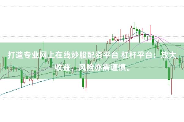 打造专业网上在线炒股配资平台 杠杆平台：放大收益，风险亦需谨慎。