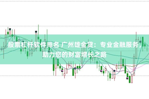股票杠杆软件排名 广州雄金贷：专业金融服务，助力您的财富增长之路
