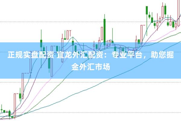 正规实盘配资 宜龙外汇配资：专业平台，助您掘金外汇市场