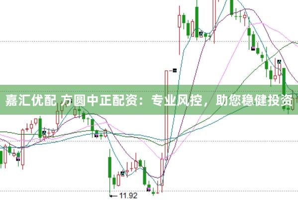 嘉汇优配 方圆中正配资：专业风控，助您稳健投资