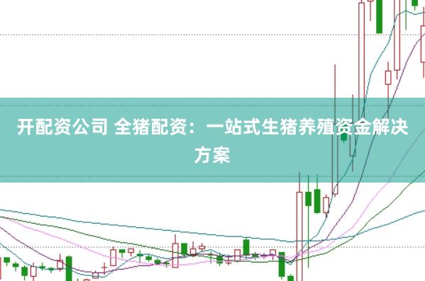 开配资公司 全猪配资：一站式生猪养殖资金解决方案