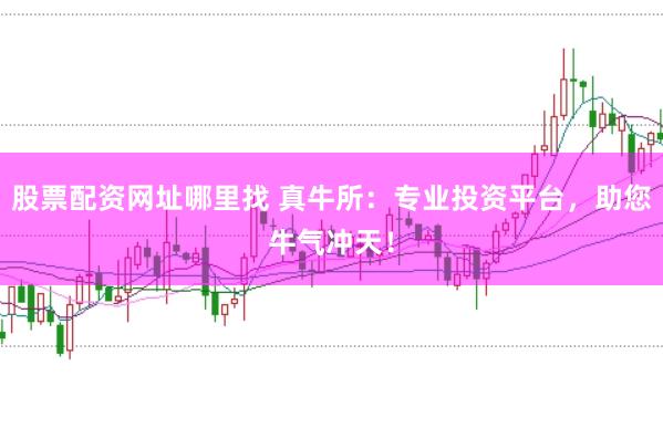 股票配资网址哪里找 真牛所：专业投资平台，助您牛气冲天！