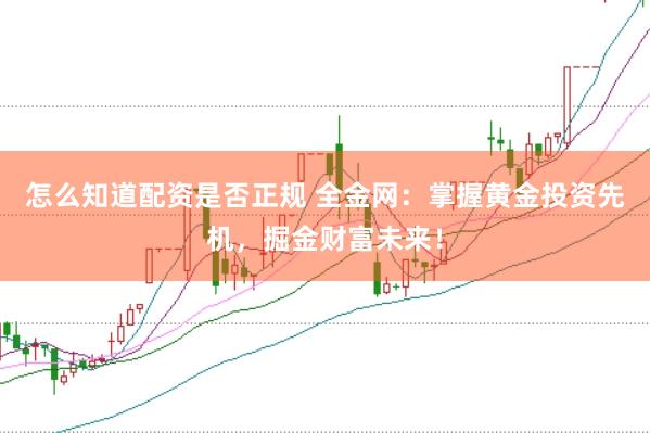 怎么知道配资是否正规 全金网：掌握黄金投资先机，掘金财富未来！