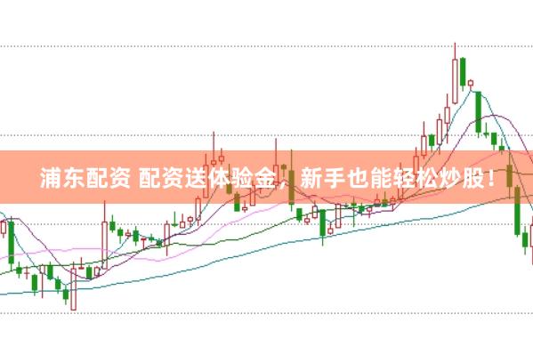 浦东配资 配资送体验金，新手也能轻松炒股！