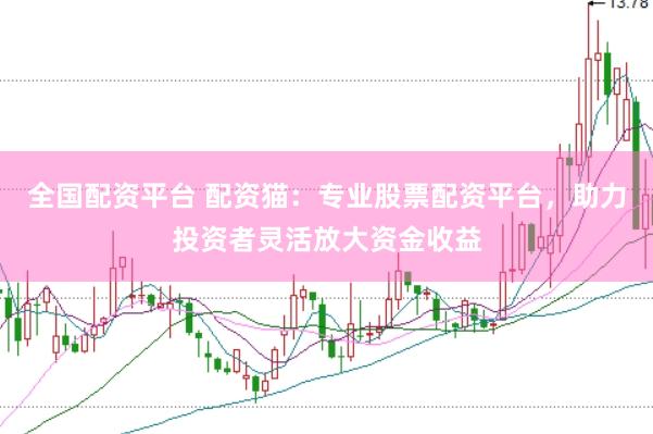 全国配资平台 配资猫：专业股票配资平台，助力投资者灵活放大资金收益