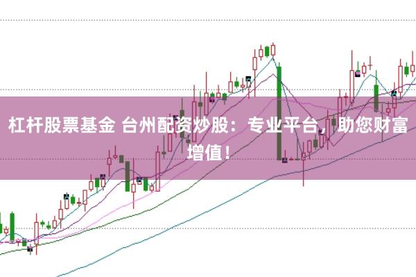 杠杆股票基金 台州配资炒股：专业平台，助您财富增值！