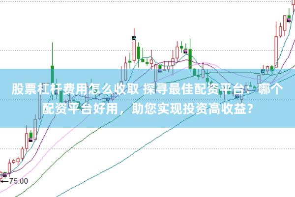 股票杠杆费用怎么收取 探寻最佳配资平台：哪个配资平台好用，助您实现投资高收益？