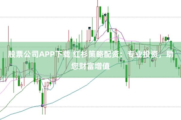 股票公司APP下载 红杉策略配资：专业投资，助您财富增值