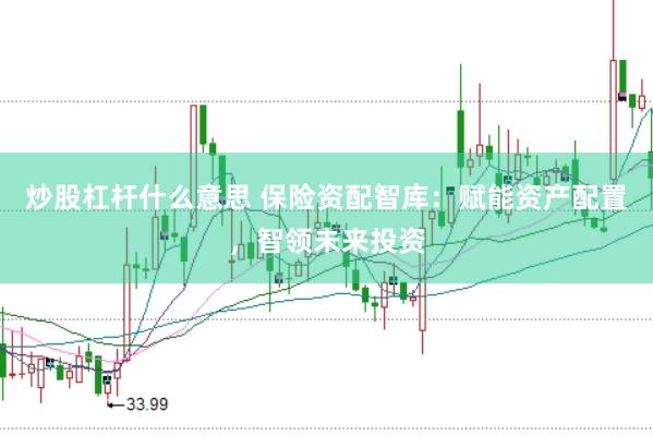 炒股杠杆什么意思 保险资配智库：赋能资产配置，智领未来投资