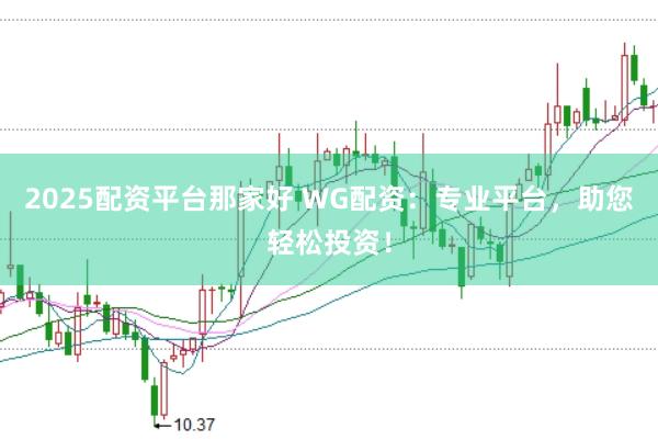2025配资平台那家好 WG配资：专业平台，助您轻松投资！