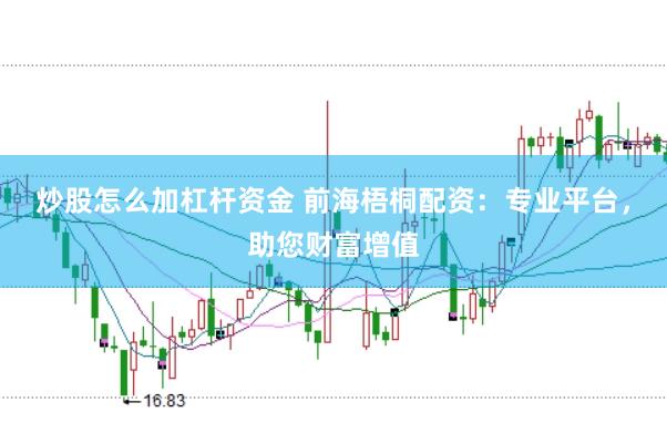 炒股怎么加杠杆资金 前海梧桐配资：专业平台，助您财富增值