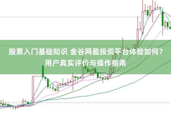 股票入门基础知识 金谷网盈投资平台体验如何？用户真实评价与操作指南