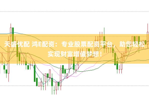 天盛优配 鸿E配资：专业股票配资平台，助您轻松实现财富增值梦想！