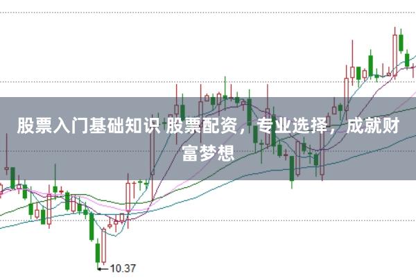 股票入门基础知识 股票配资，专业选择，成就财富梦想