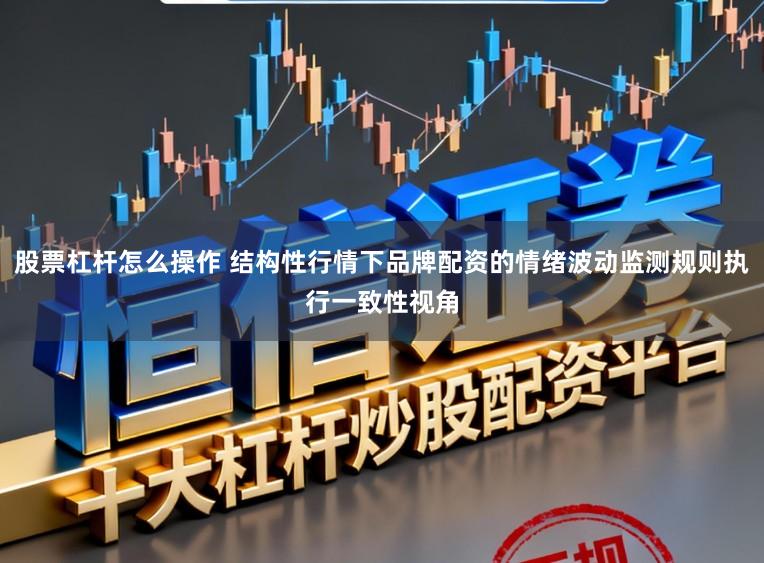 股票杠杆怎么操作 结构性行情下品牌配资的情绪波动监测规则执行一致性视角