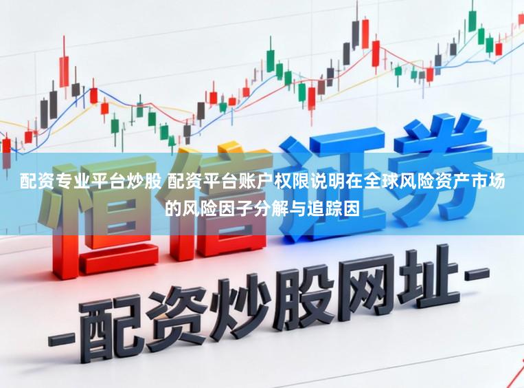 配资专业平台炒股 配资平台账户权限说明在全球风险资产市场的风险因子分解与追踪因