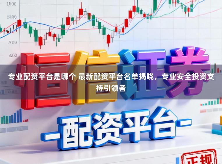 专业配资平台是哪个 最新配资平台名单揭晓，专业安全投资支持引领者